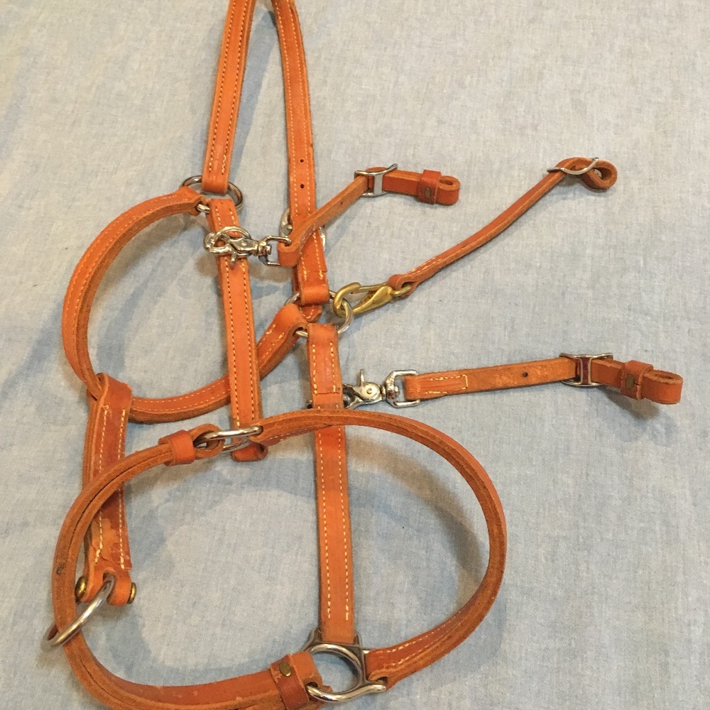 Equine halter- raw leather- unused